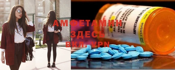 индика Вяземский