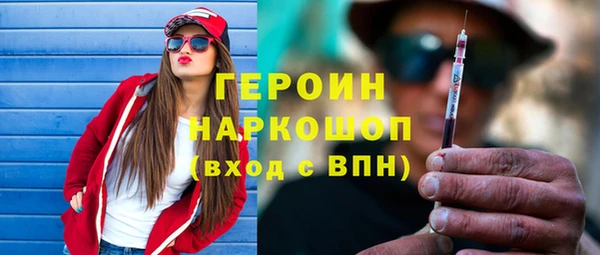 индика Вяземский