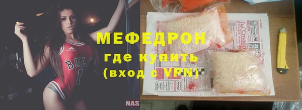индика Вяземский