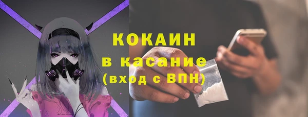 индика Вяземский