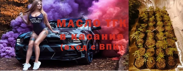 индика Вяземский