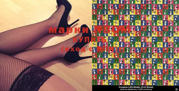 индика Вяземский