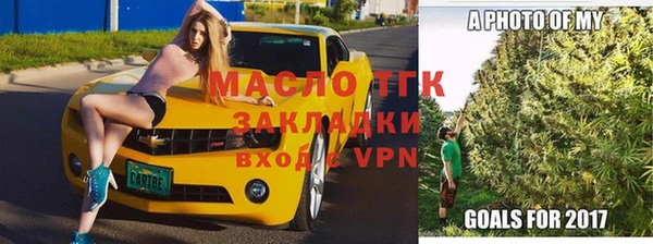 индика Вяземский