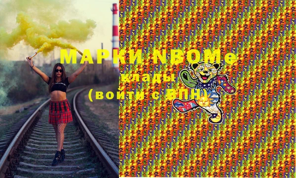 индика Вяземский