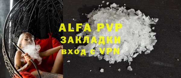 индика Вяземский
