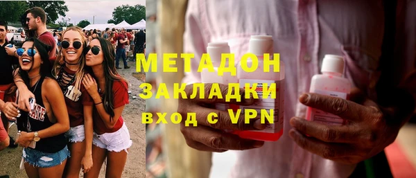 индика Вяземский