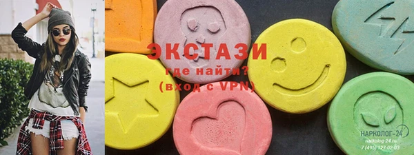 индика Вяземский