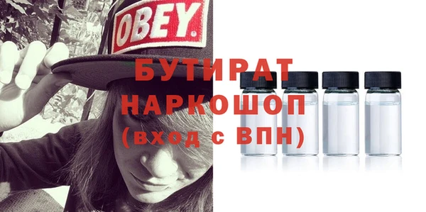 индика Вяземский