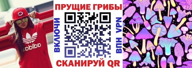 Псилоцибиновые грибы ЛСД  закладка  Дальнереченск 